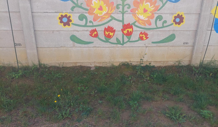Aktuality / Nové maľby na plote skrášlili našu škôlku - foto