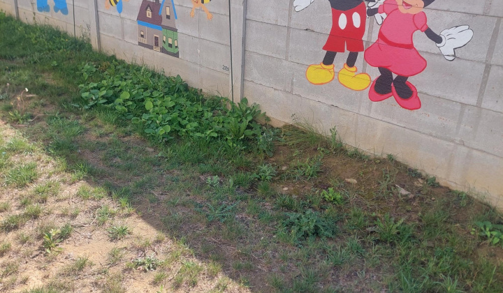 Aktuality / Nové maľby na plote skrášlili našu škôlku - foto
