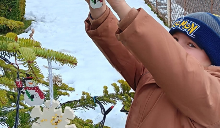 Aktuality / Zdobenie vianočného venca a stromčeka deťmi z materskej škôlky - foto