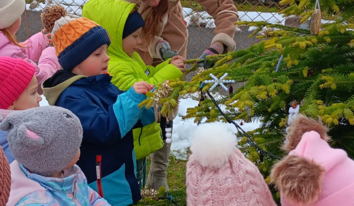 Aktuality / Zdobenie vianočného venca a stromčeka deťmi z materskej škôlky - foto