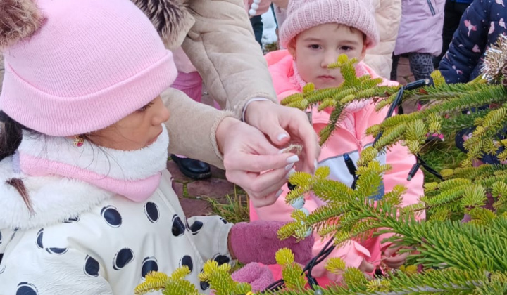 Aktuality / Zdobenie vianočného venca a stromčeka deťmi z materskej škôlky - foto
