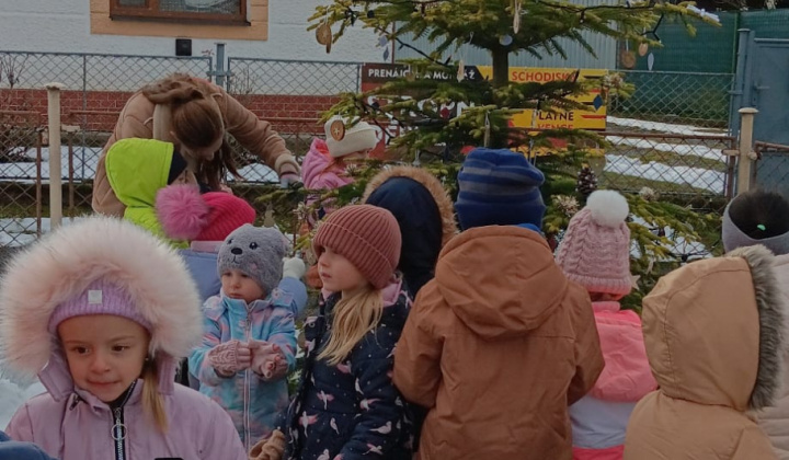 Aktuality / Zdobenie vianočného venca a stromčeka deťmi z materskej škôlky - foto