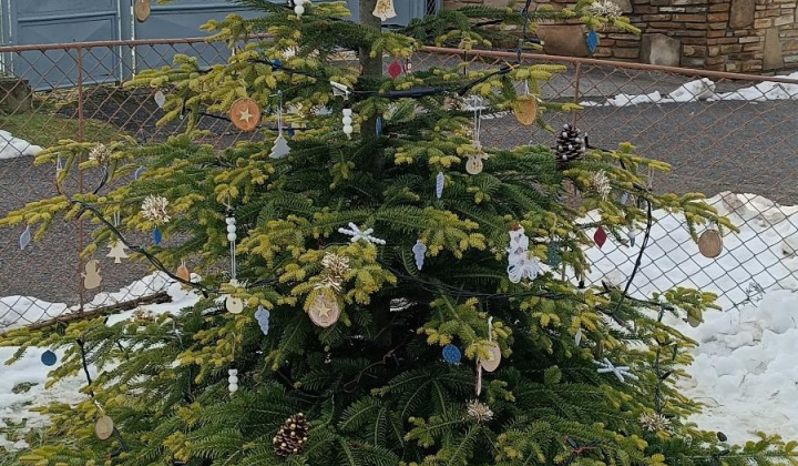 Aktuality / Zdobenie vianočného venca a stromčeka deťmi z materskej škôlky - foto