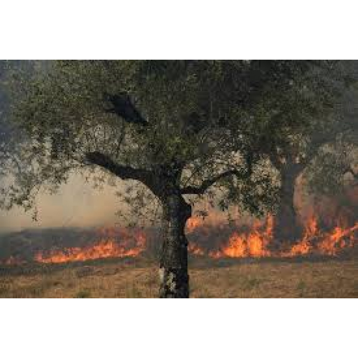 Menšia fotka pre článok Vyhlásenie času zvýšeného nebezpečenstva vzniku požiaru
